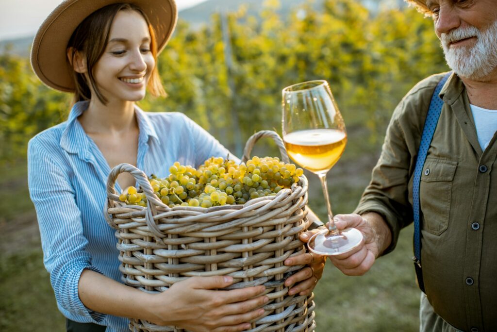 Vinodis - senior man with young woman tasting wine on the vineyard