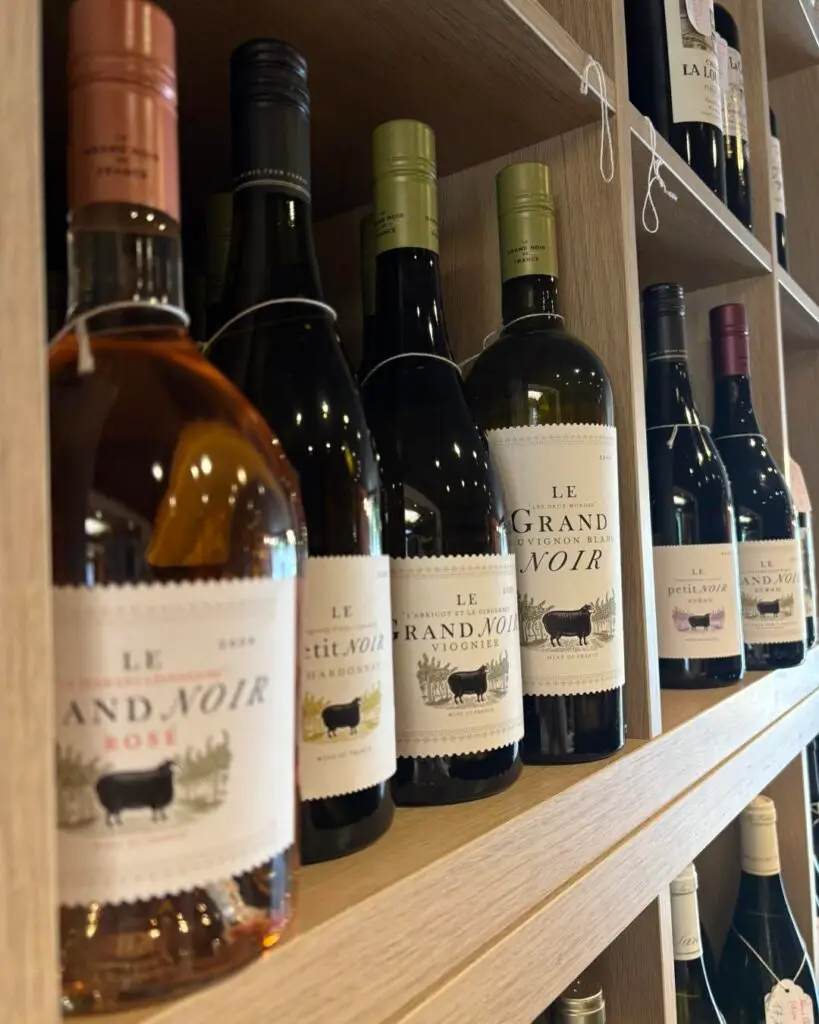 Vinodis - 513698884 1331685518961920 3533537215513140856 n