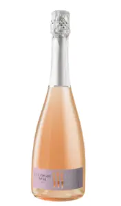 Vinodis - Bar et boutique de vins et spiritueux